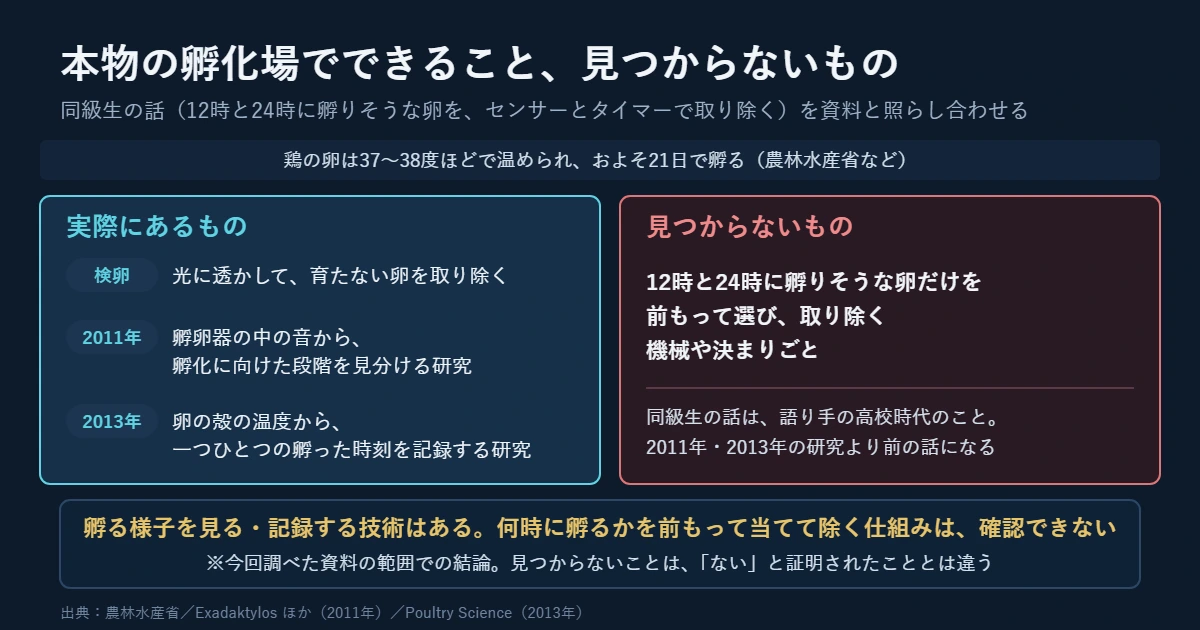 本物の孵化場で実際にある検卵や研究と、12時と24時に孵りそうな卵だけを選んで除く仕組みが資料に見つからないことを比べた図